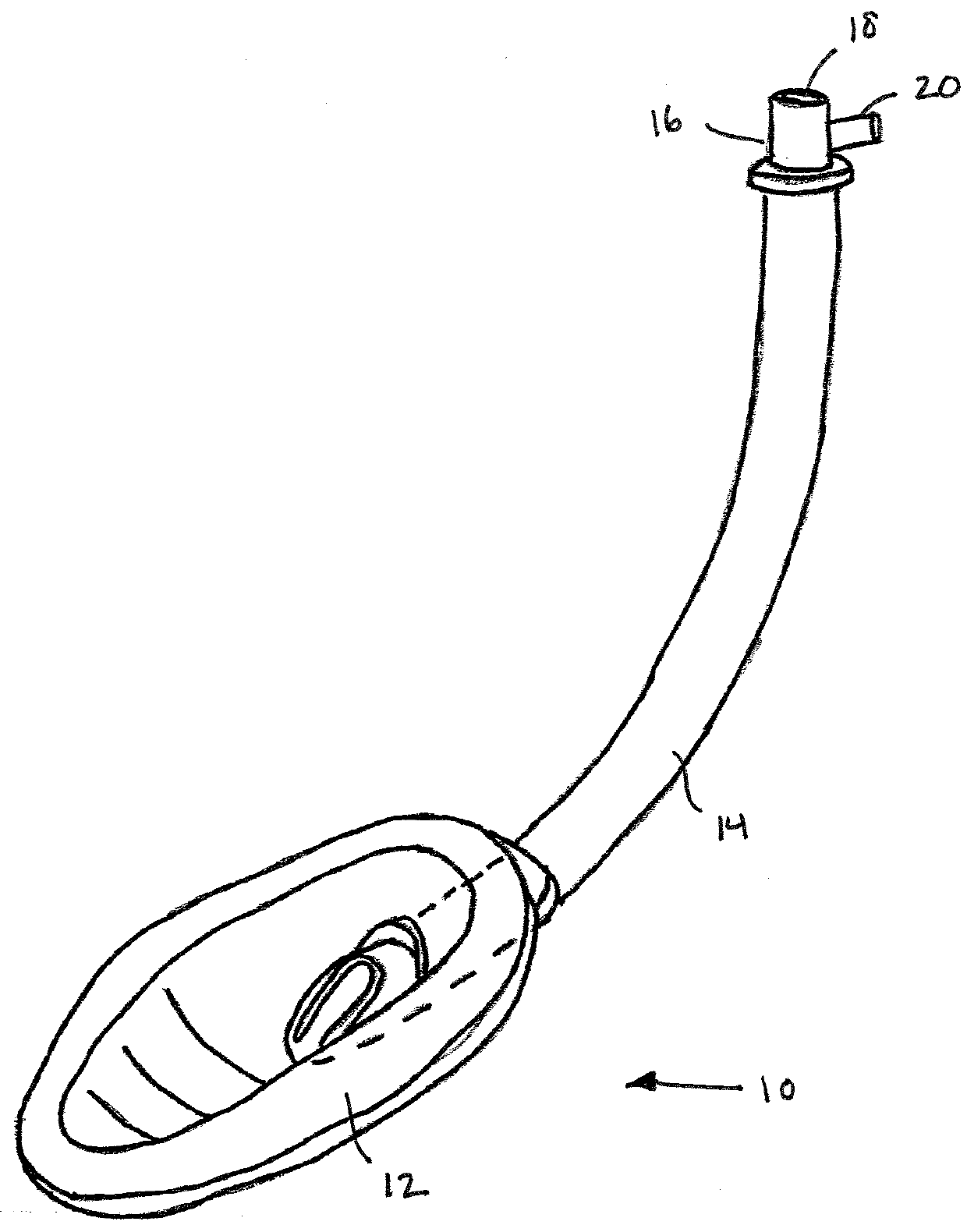 Apparatus, system, and method for endotracheal tube placement