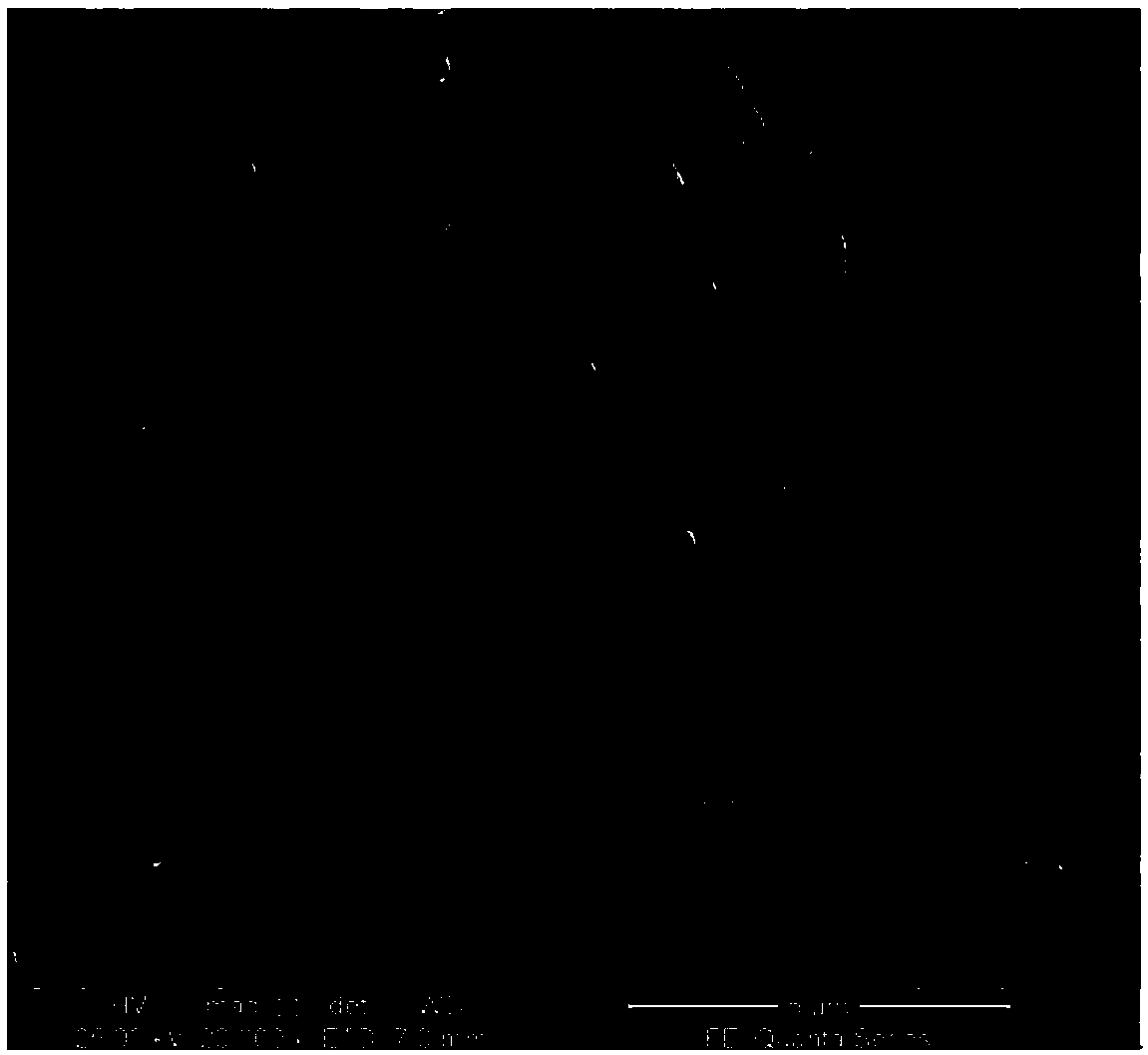 Degrading bacterium capable of efficiently degrading malachite green drug and application thereof