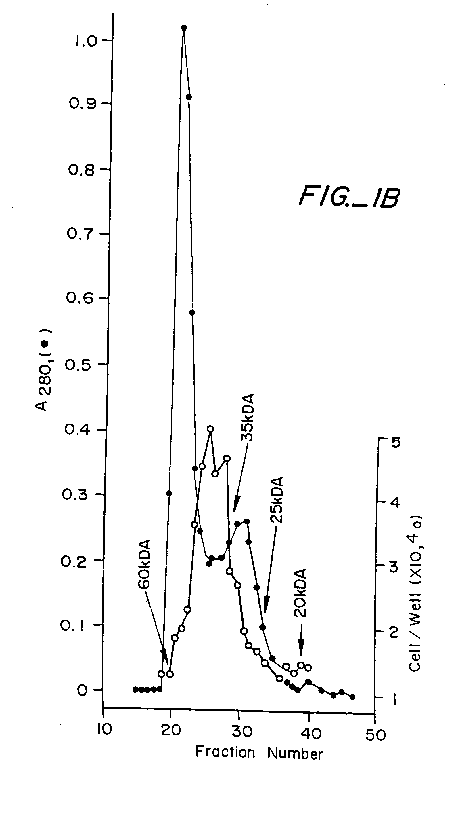 Endothelial cell growth factor methods of isolation and expression