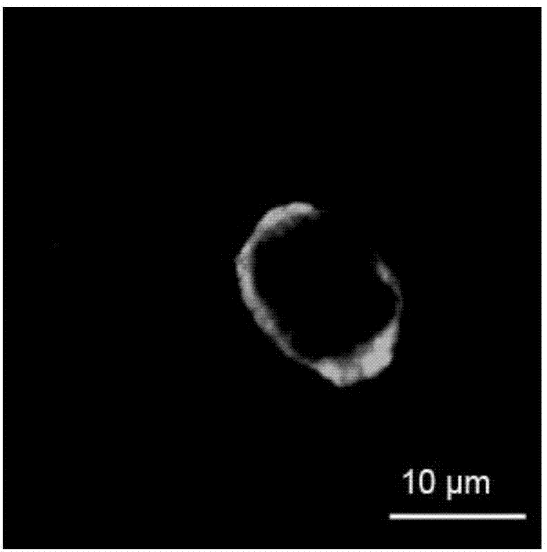 Novel calcium enhancer based on poorly-soluble calcium and food-borne protein complexes as well as preparation method and characterization method thereof