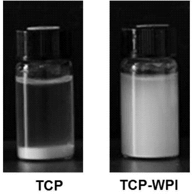Novel calcium enhancer based on poorly-soluble calcium and food-borne protein complexes as well as preparation method and characterization method thereof