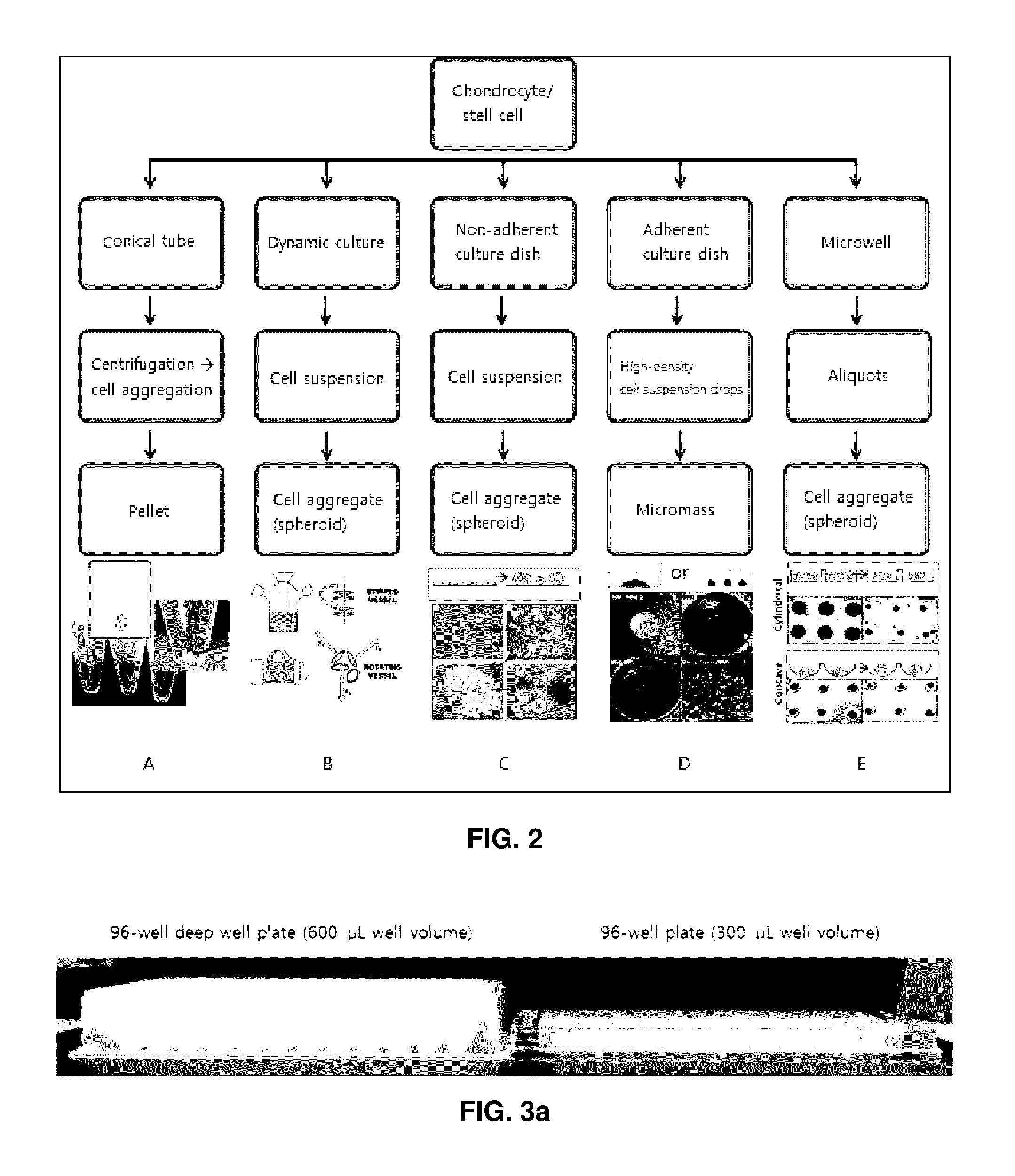Preparation method for therapeutic agent of bead-type chondrocyte