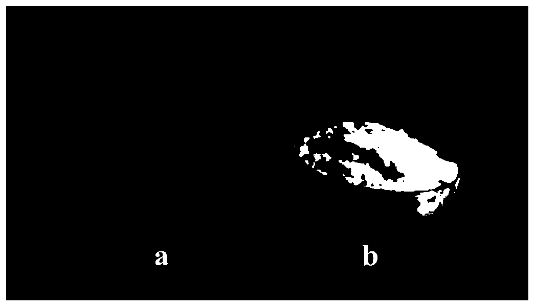 Repair method for multi-ring arene contaminated soil based on vinegar residues and waste ferrous sulfate in titanium dioxide plant