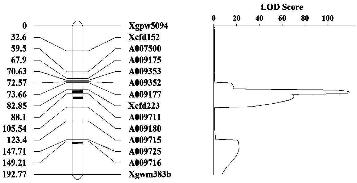 Serial molecular markers and application thereof to pre-harvest sprouting gene molecular markers