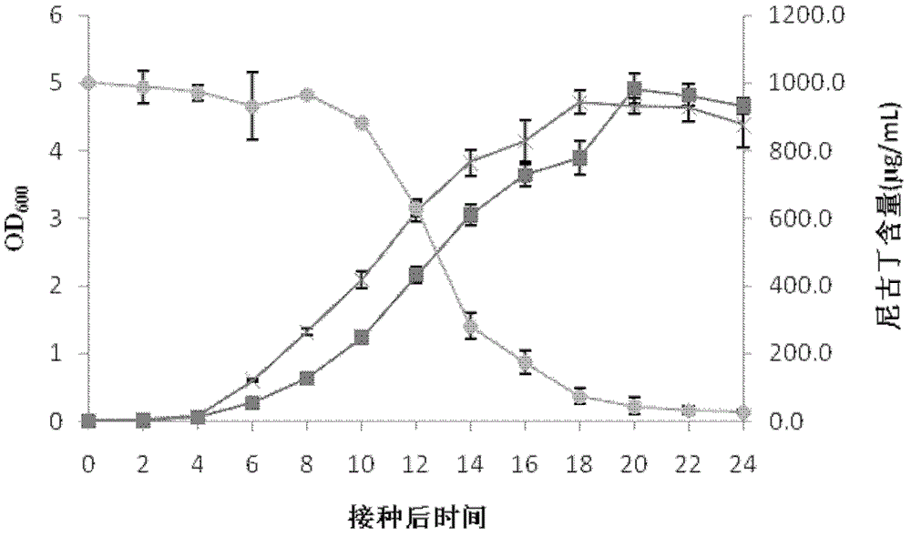 Pseudomonas fluorescens preparation and application thereof