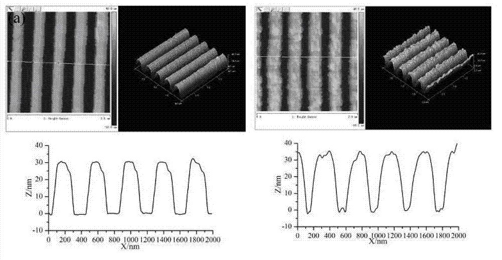 Fluorescence enhanced microarray biochip based on micro/nano periodic structures and method for preparing same