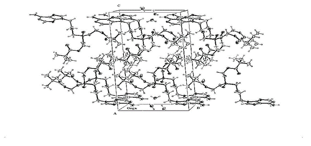 High-dose clinorhomboidal adefovir dipivoxil preparation, and preparation method and application thereof