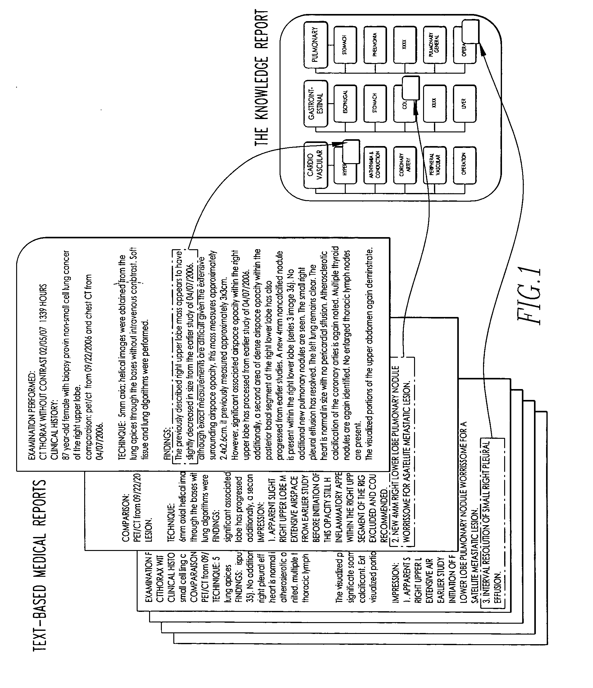 Method and system for presenting and processing multiple text-based medical reports