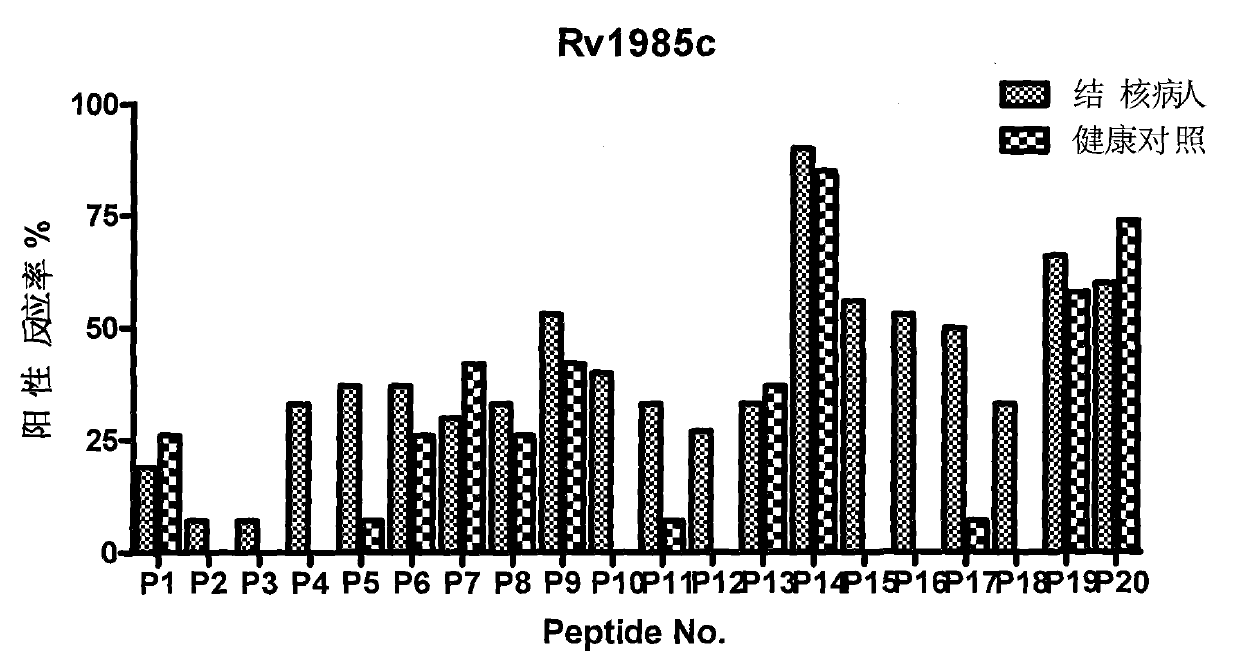 Kit and method for detecting mycobacterium tuberculosis infection and application