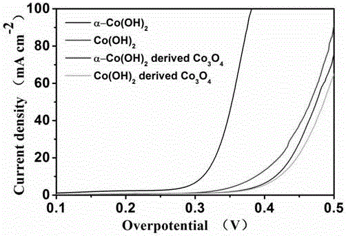 Preparation method of alpha phase cobaltous hydroxide nanosheet for oxygen evolution reaction