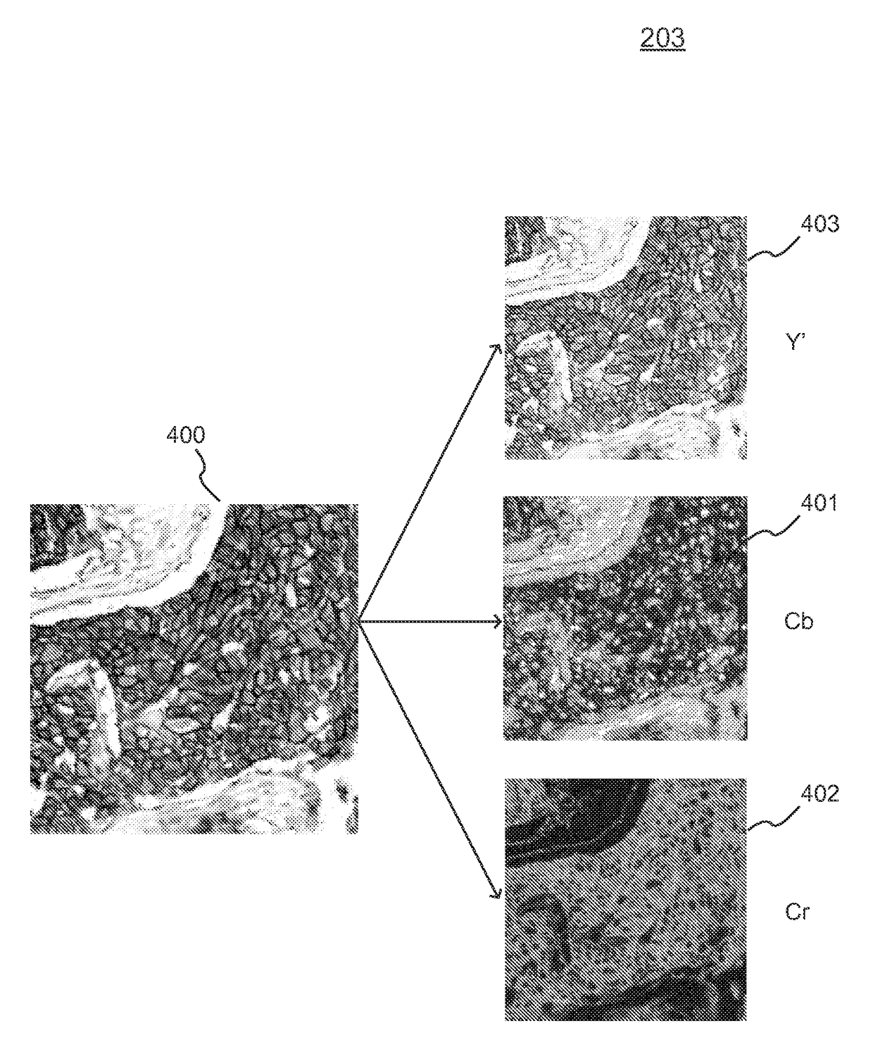 Method and apparatus for image scoring and analysis