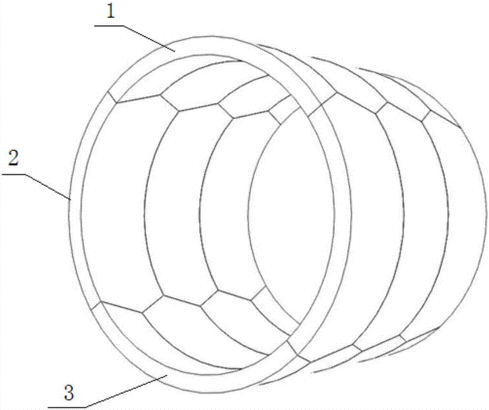 Combination structure of light and heavy segment lining in tbm tunnel and its design method