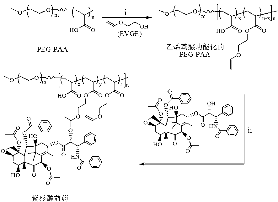 Acid sensitive polymer prodrug, nanoparticles of prodrug and application of nanoparticles