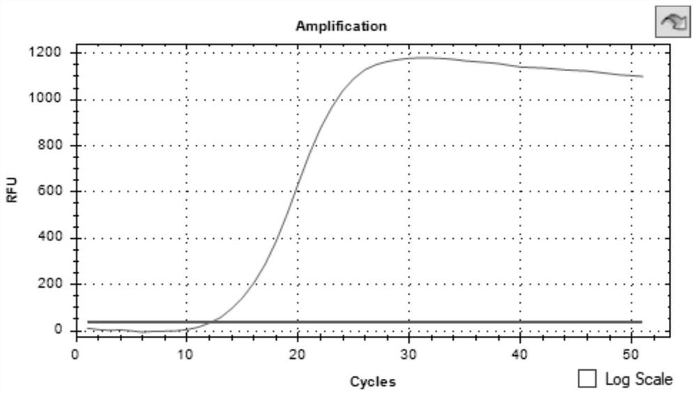 LAMP (loop-mediated isothermal amplification) double-strand detection probe and freeze-dried microsphere for burkholderia gladioli as well as preparation method and detection method of freeze-dried microsphere