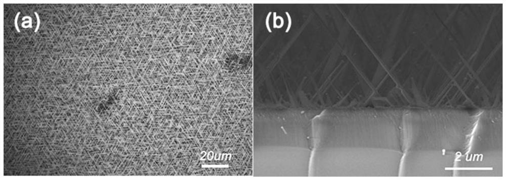 a kind of ga  <sub>2</sub> o  <sub>3</sub> Nanowire array thin film and preparation method thereof