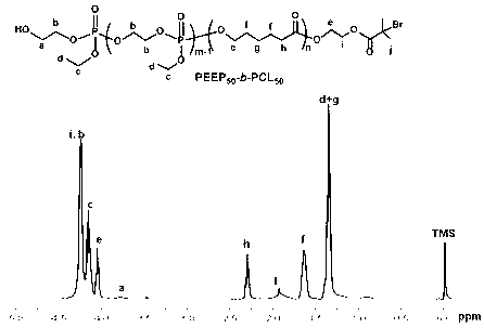 Cationic triblock copolymer based on biodegradable polyphosphate ester and application thereof