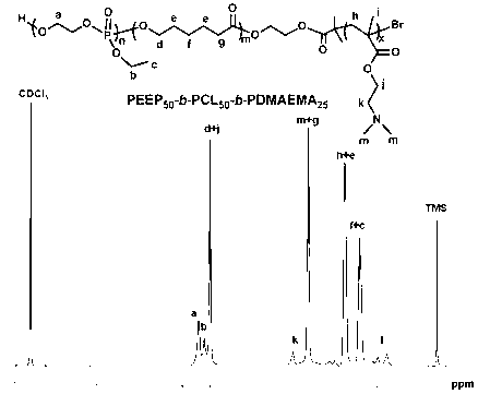 Cationic triblock copolymer based on biodegradable polyphosphate ester and application thereof