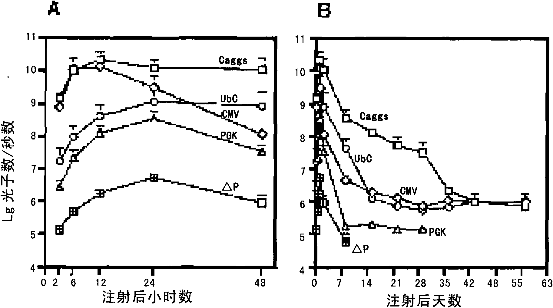 A system capable of stably expressing cell cycle factor FoxM1 and its medical use