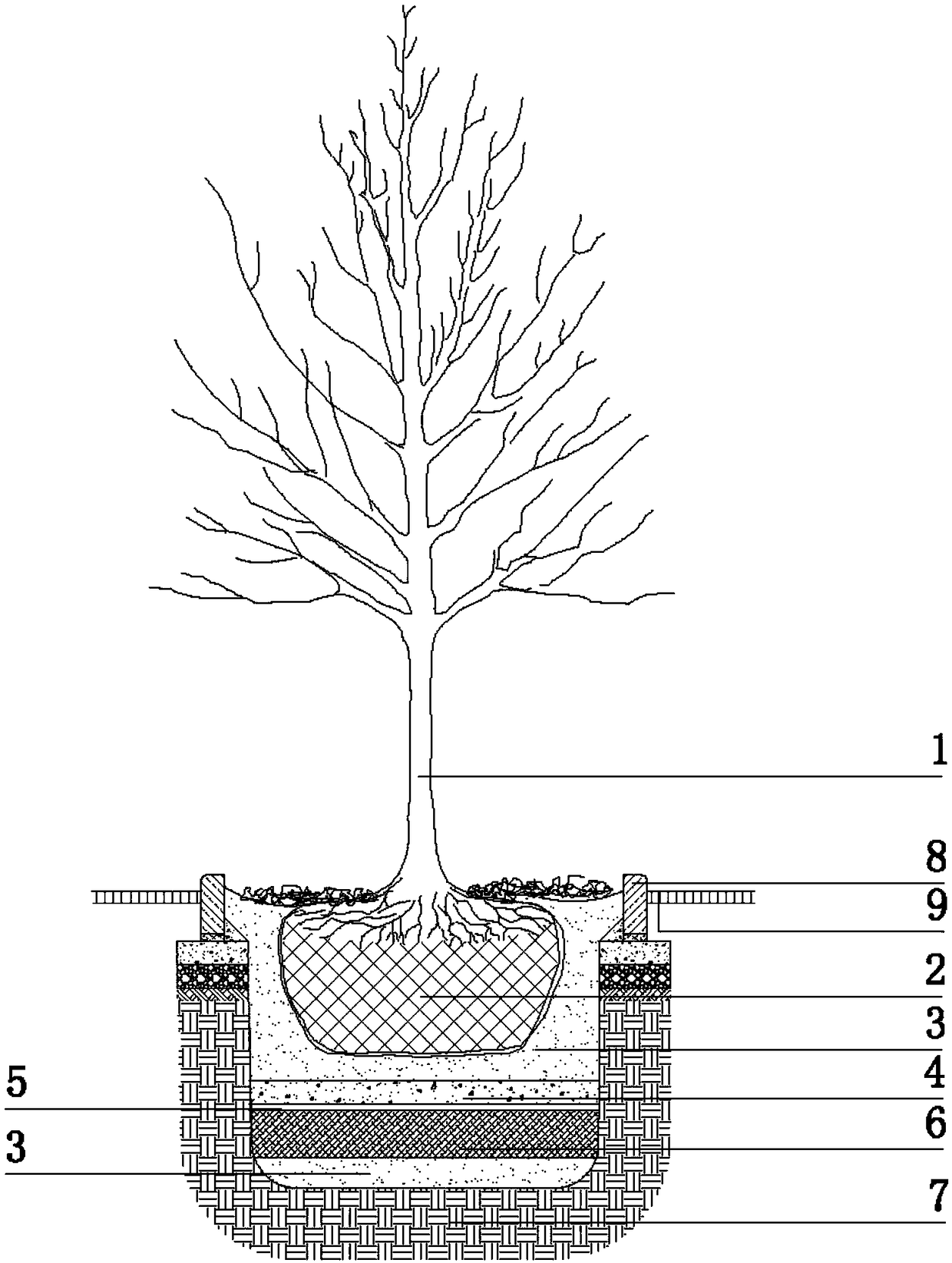 Ecological planting bed to prevent plants from damaging peripheral structural layer during growth