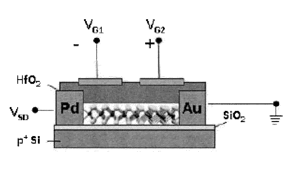 Method and System for Generating a Photo-Response from MoS2 Schottky Junctions
