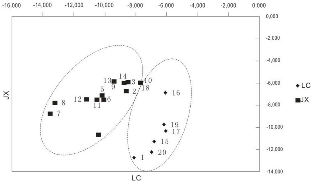 Molecular assays for rapid identification of eucalyptus populations