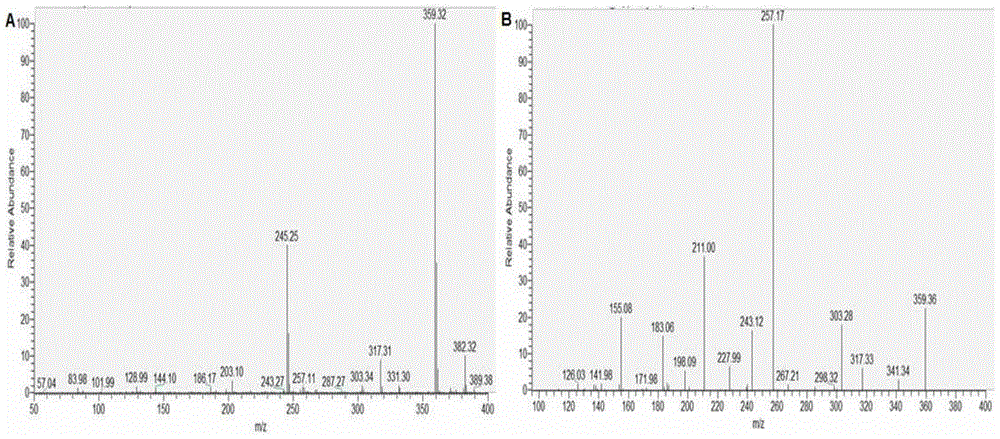 A kind of organically synthesized carboxymethyllysine separation and purification method