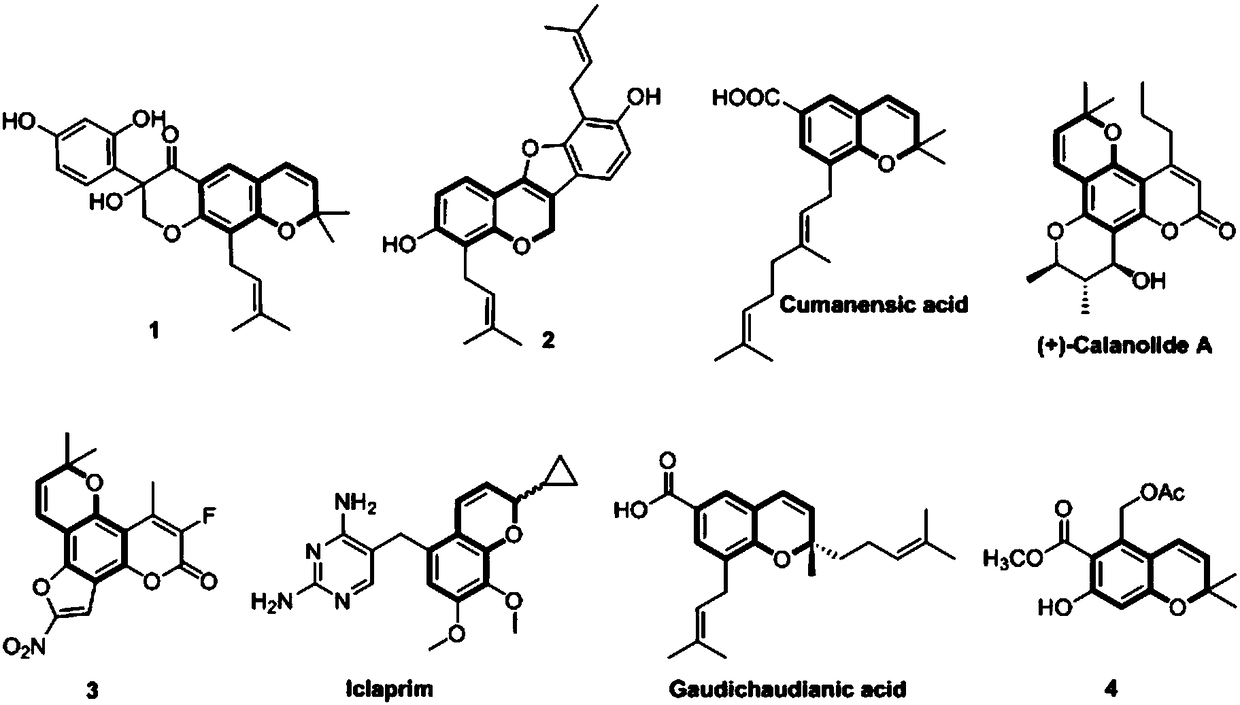 R-2-substituted-3-nitro-2H-chromene derivative with antibacterial activity and preparation method and application thereof