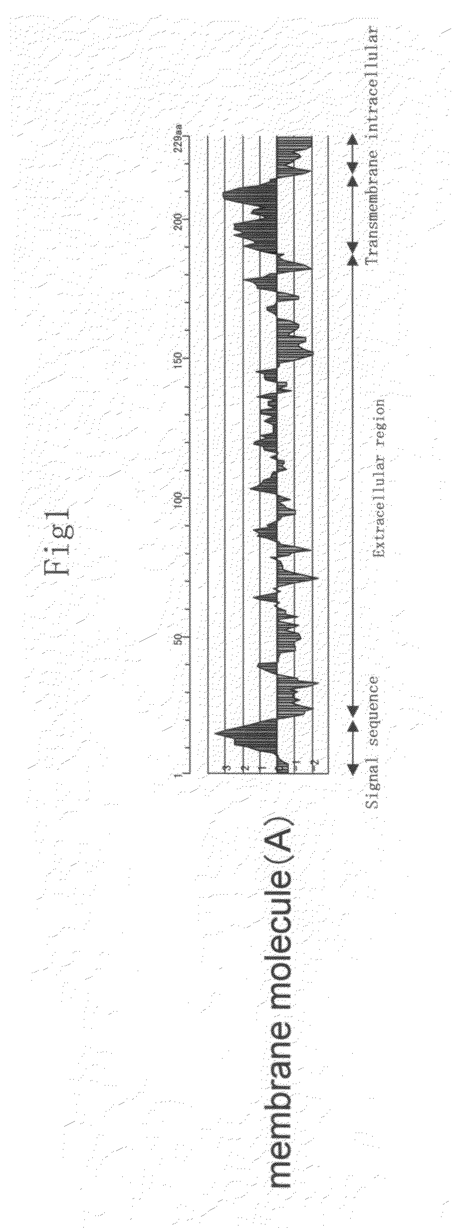 Membrane molecule expressed specifically in activated plasmacytoid dendritic cell