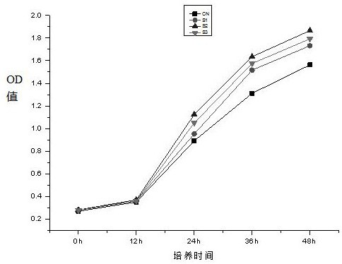 A kind of pea peptide with muscle-enhancing effect and its preparation method, medicine and application