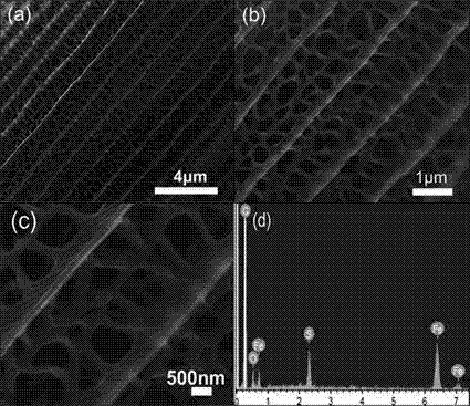 Carbon-layer-coated nano iron having butterfly wing microscopic structure and preparation method thereof