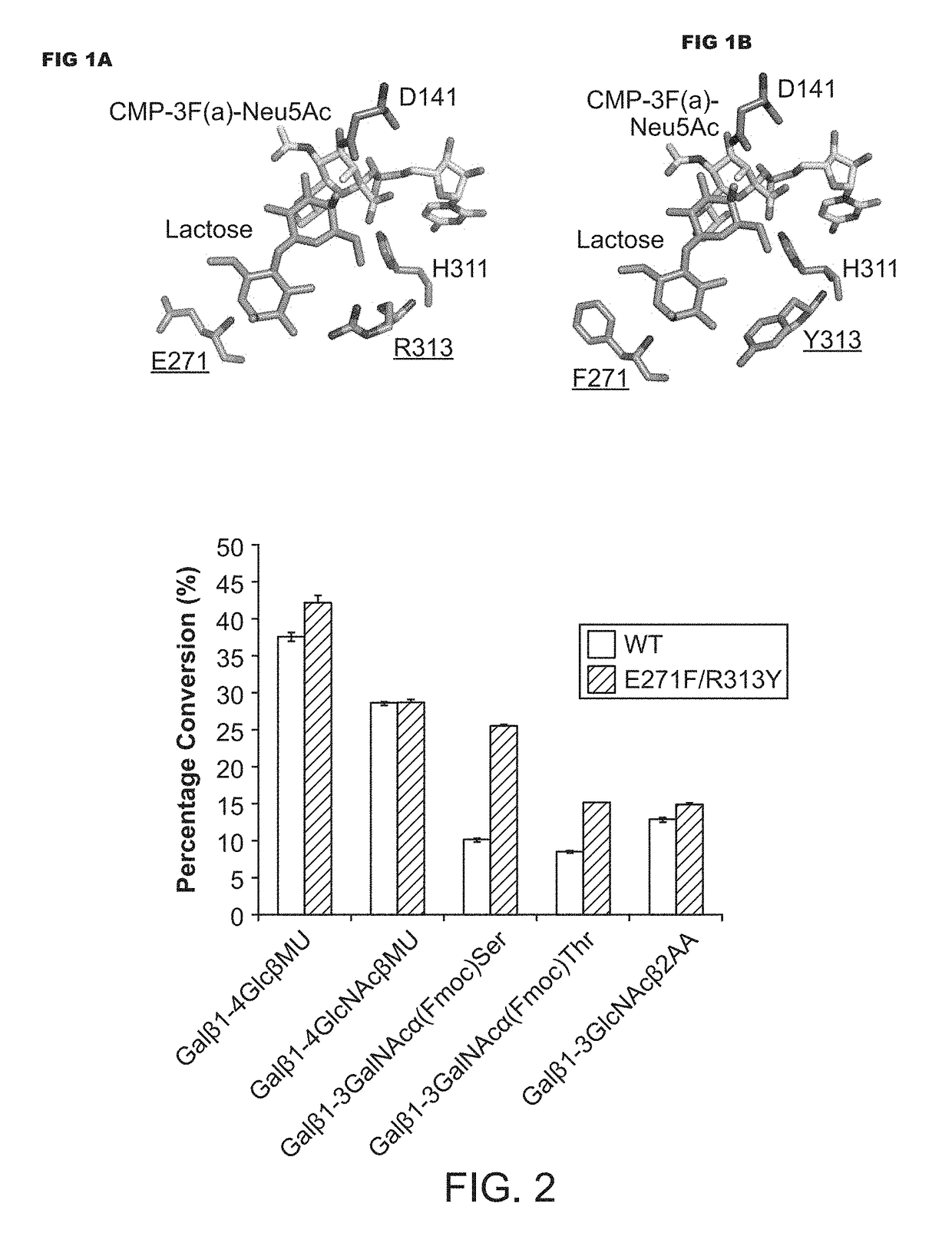 Pmst1 mutants for chemoenzymatic synthesis of sialyl lewis x compounds