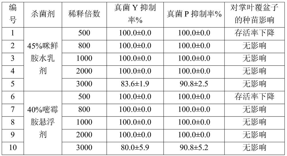 A kind of comprehensive prevention and control method of palm leaf raspberry wilt