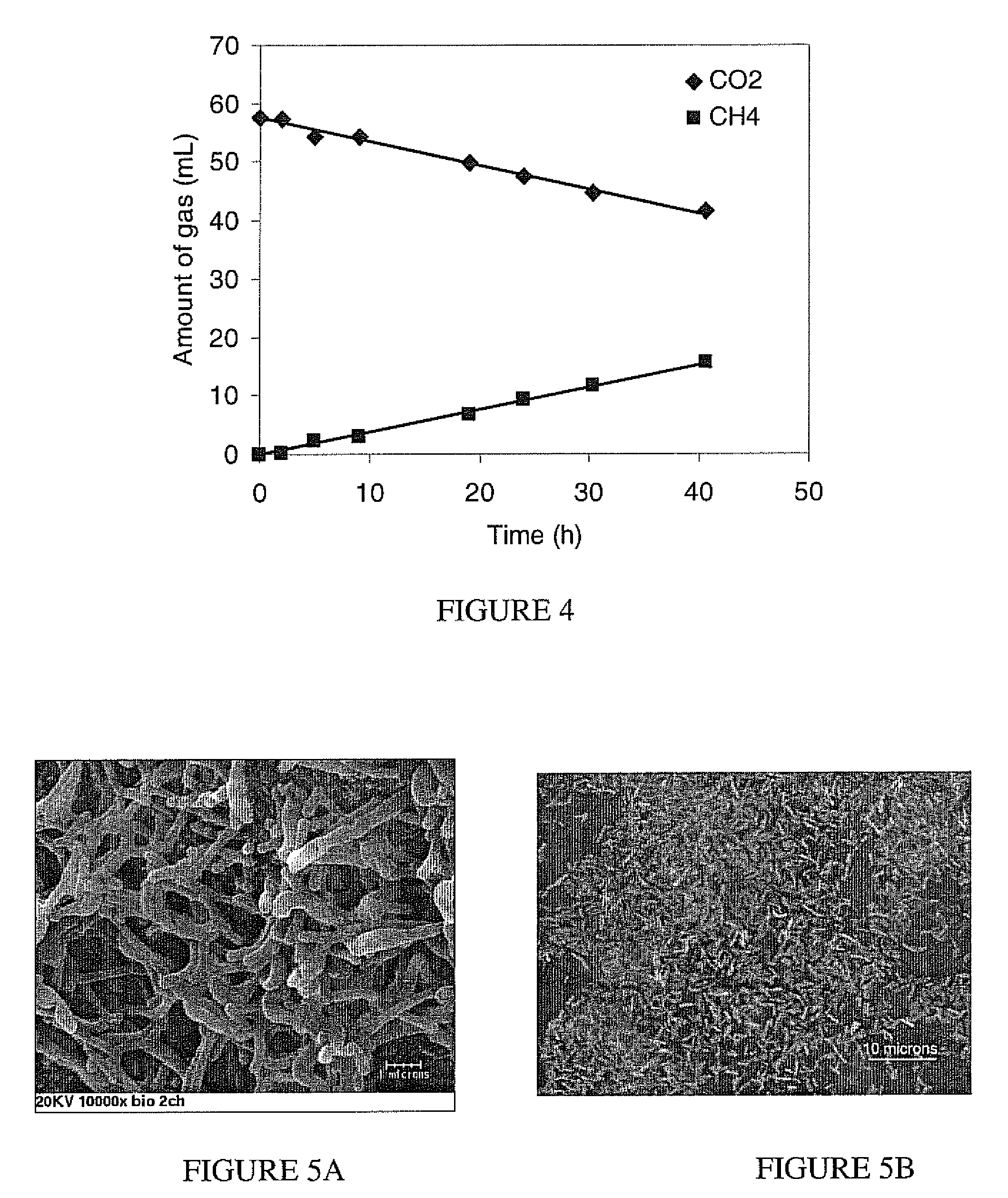 Electromethanogenic reactor and processes for methane production