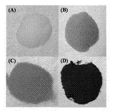 Preparation method of graphene covered silica gel