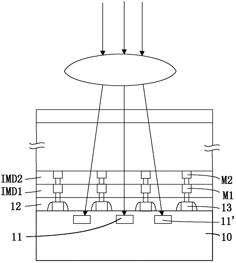 Metal interconnection structure and manufacturing method thereof