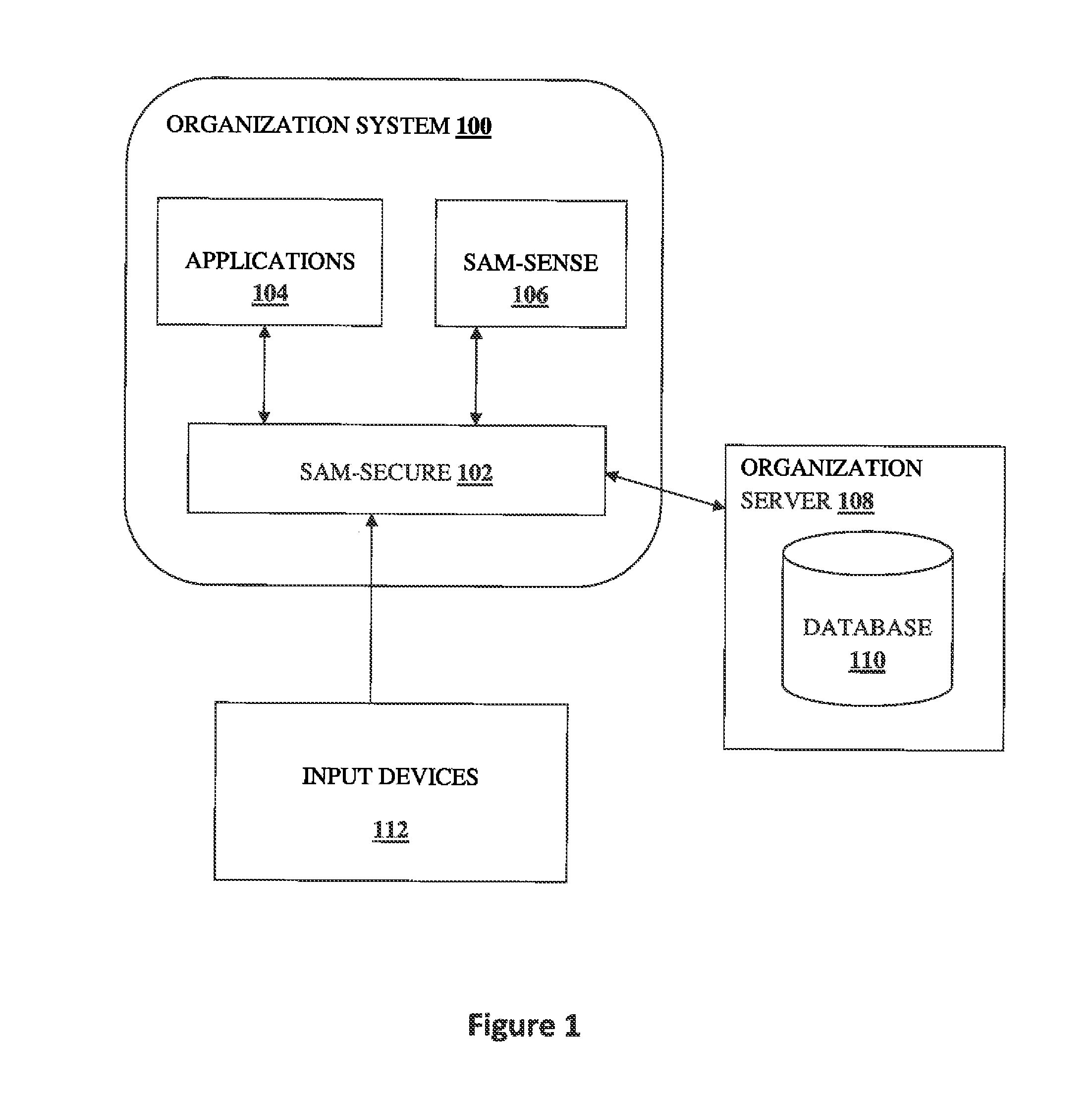 System and method for providing a secure access in an organization system