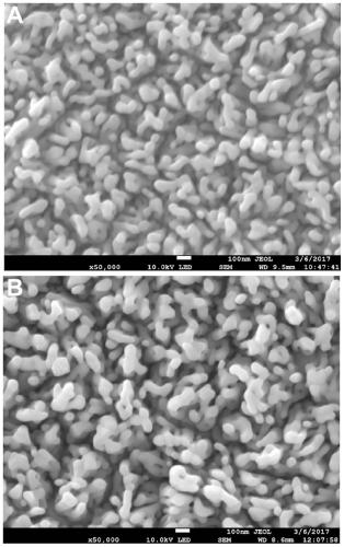 Tricobalt tetroxide composite α-type iron oxide worm-like nanostructure array photoanode, preparation method and application thereof