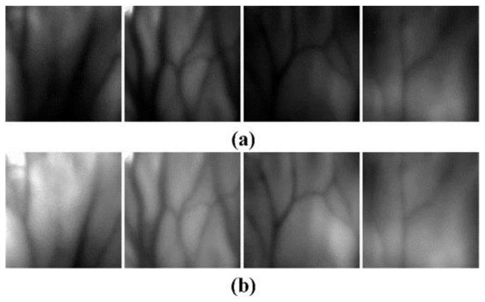 Low-exposure vein image enhancement method based on cross-scale feature fusion