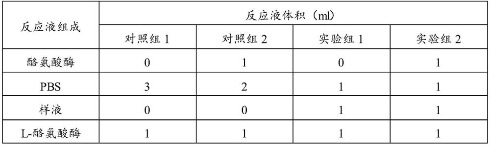Composition of black red rose and ganoderma lucidum leavening and black red rose enzymolysis leavening with anti-aging and whitening activity