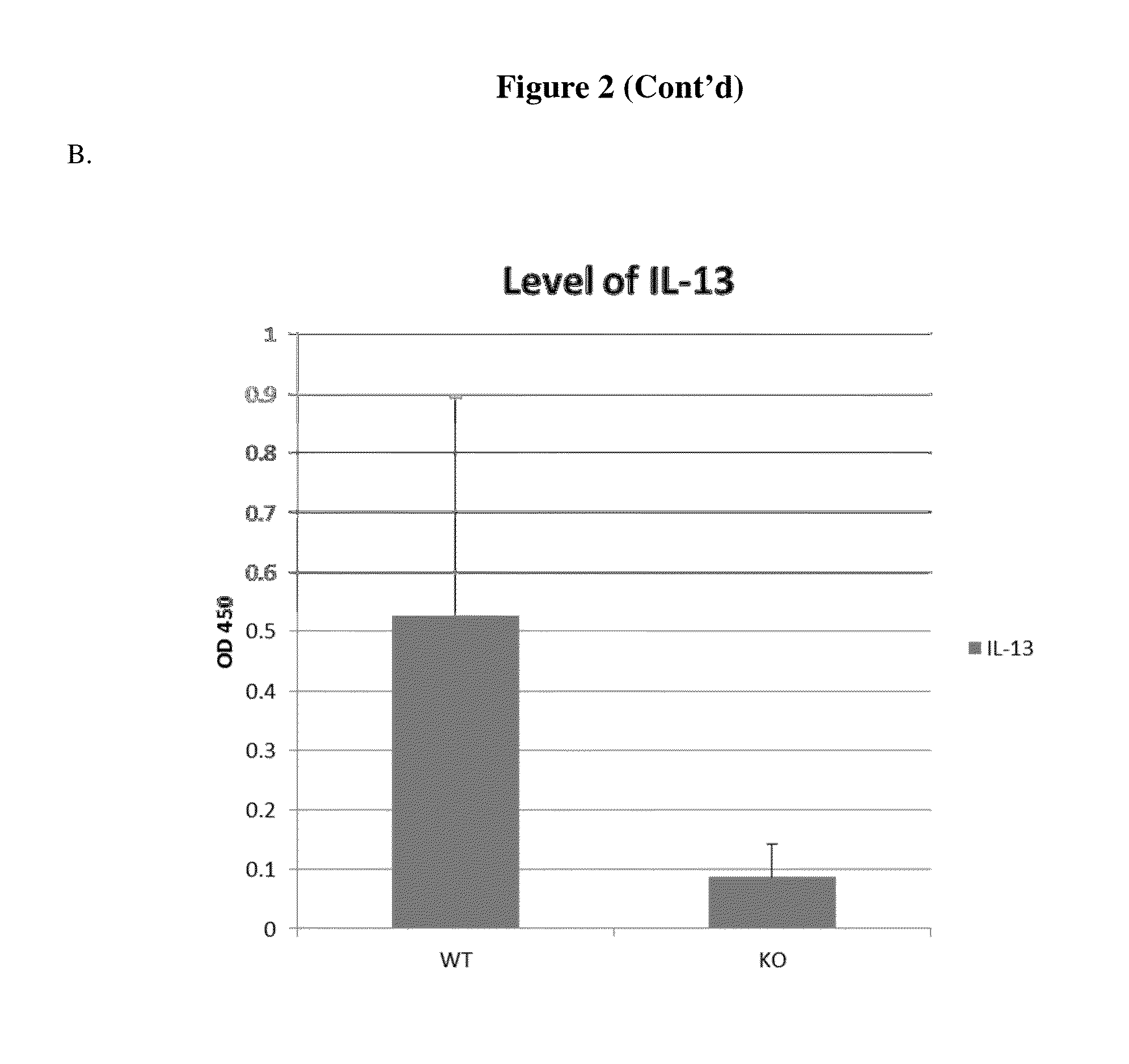 Treating allergic airway disorders using Anti-il-20 receptor antibodies