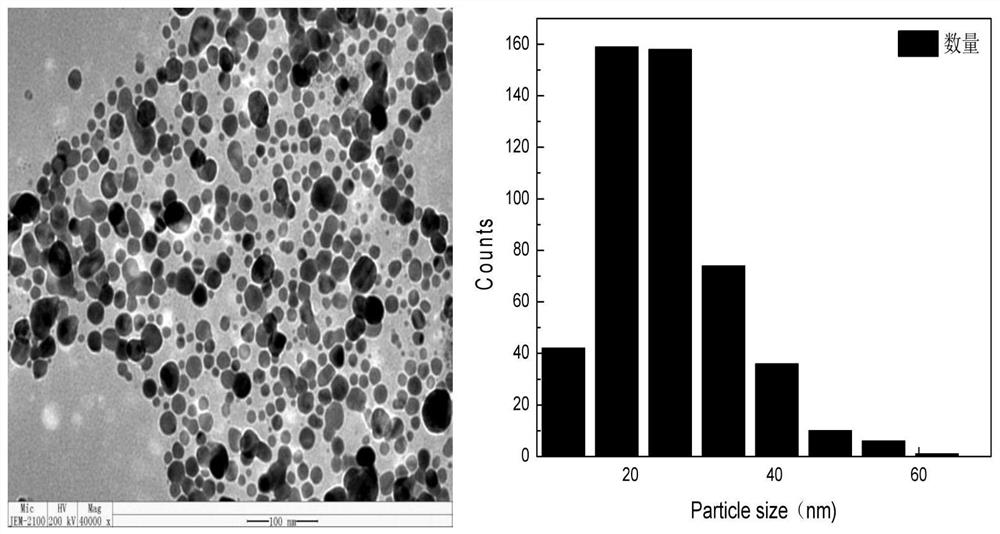 A kind of preparation method and application of silver-loaded viscose fiber