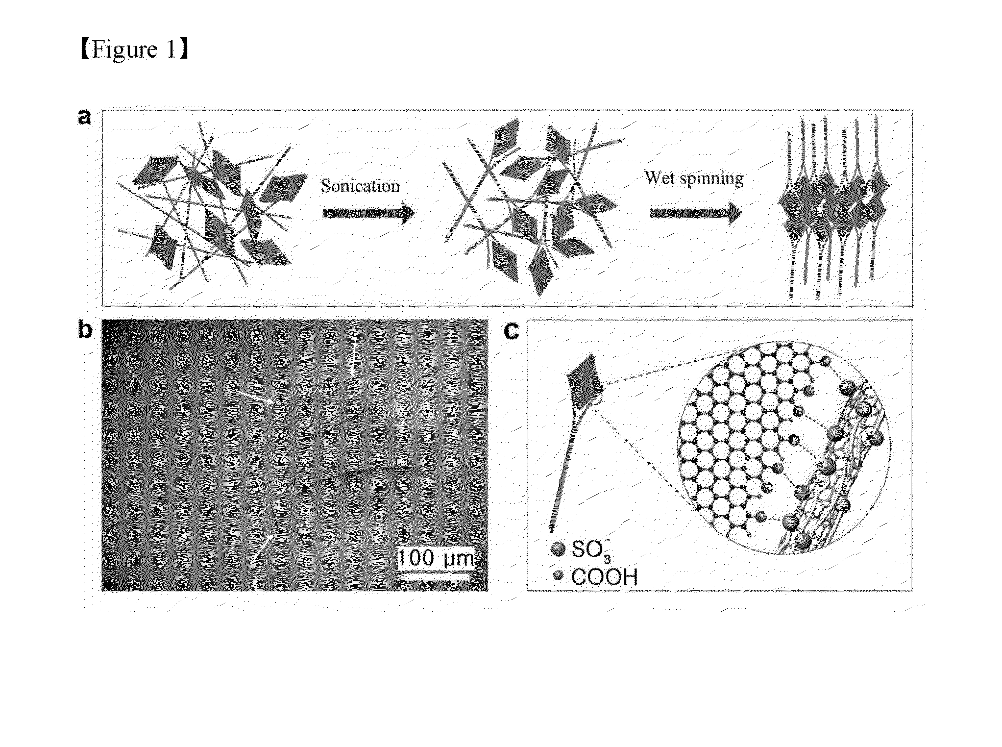 Hybrid polymer composite fiber including graphene and carbon nanotube, and method for manufacturing same