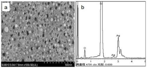 Preparation method for biological detection chip for silver-porous silicon-based surface enhanced Raman scattering