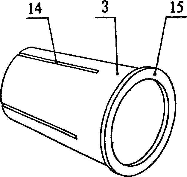 Disinfection and cleaning brush for toilet