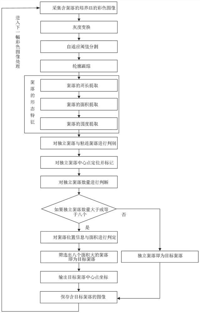 A method for automatic positioning and identification of target colonies