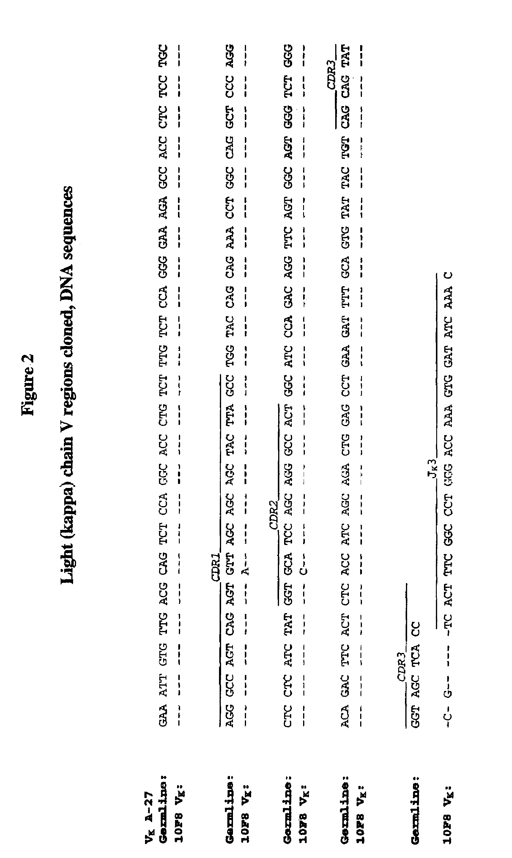 Human monoclonal antibodies against interleukin 8 (IL-8)