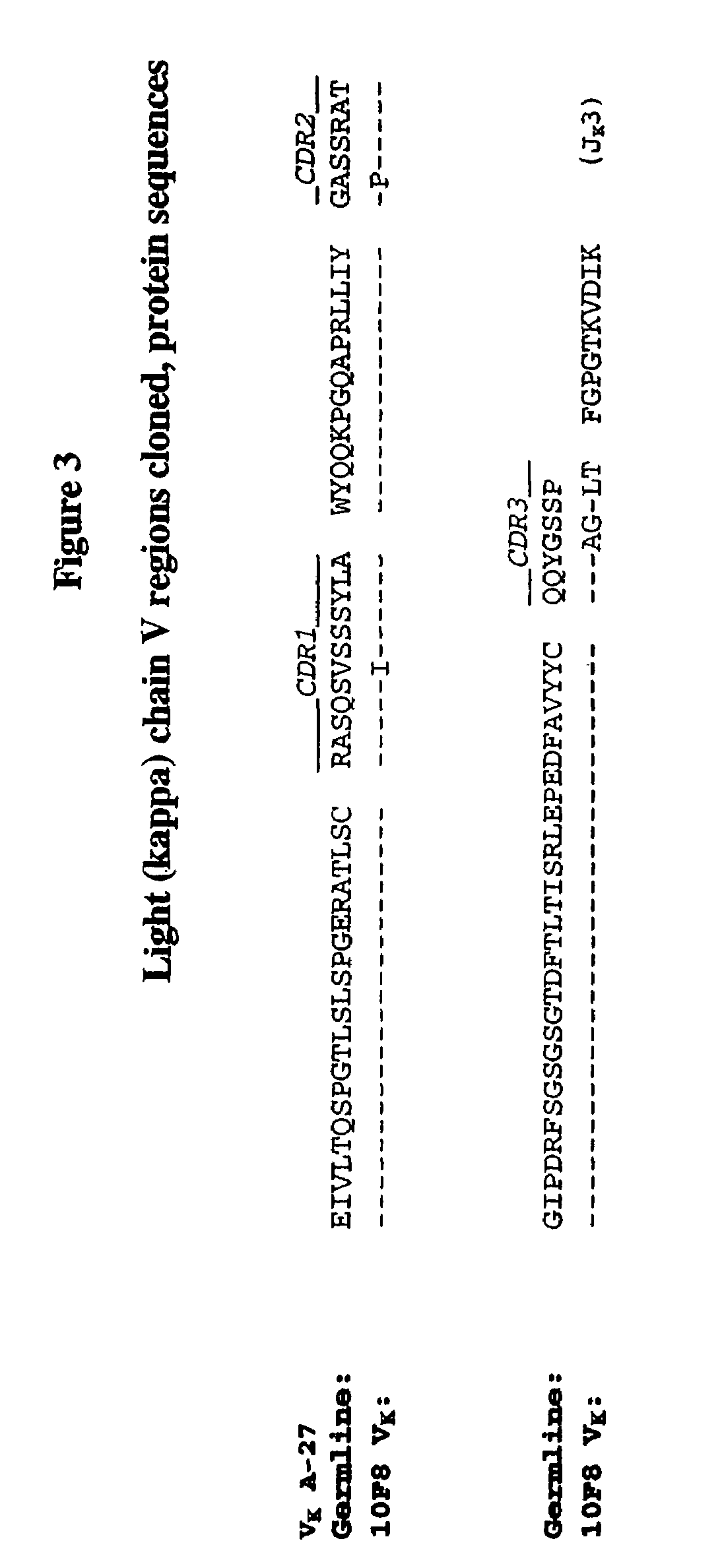 Human monoclonal antibodies against interleukin 8 (IL-8)