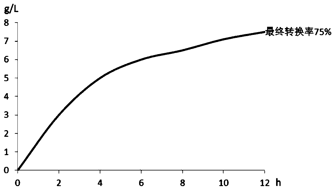 L-ribose isomerase and application thereof in biological preparation of L-ribose