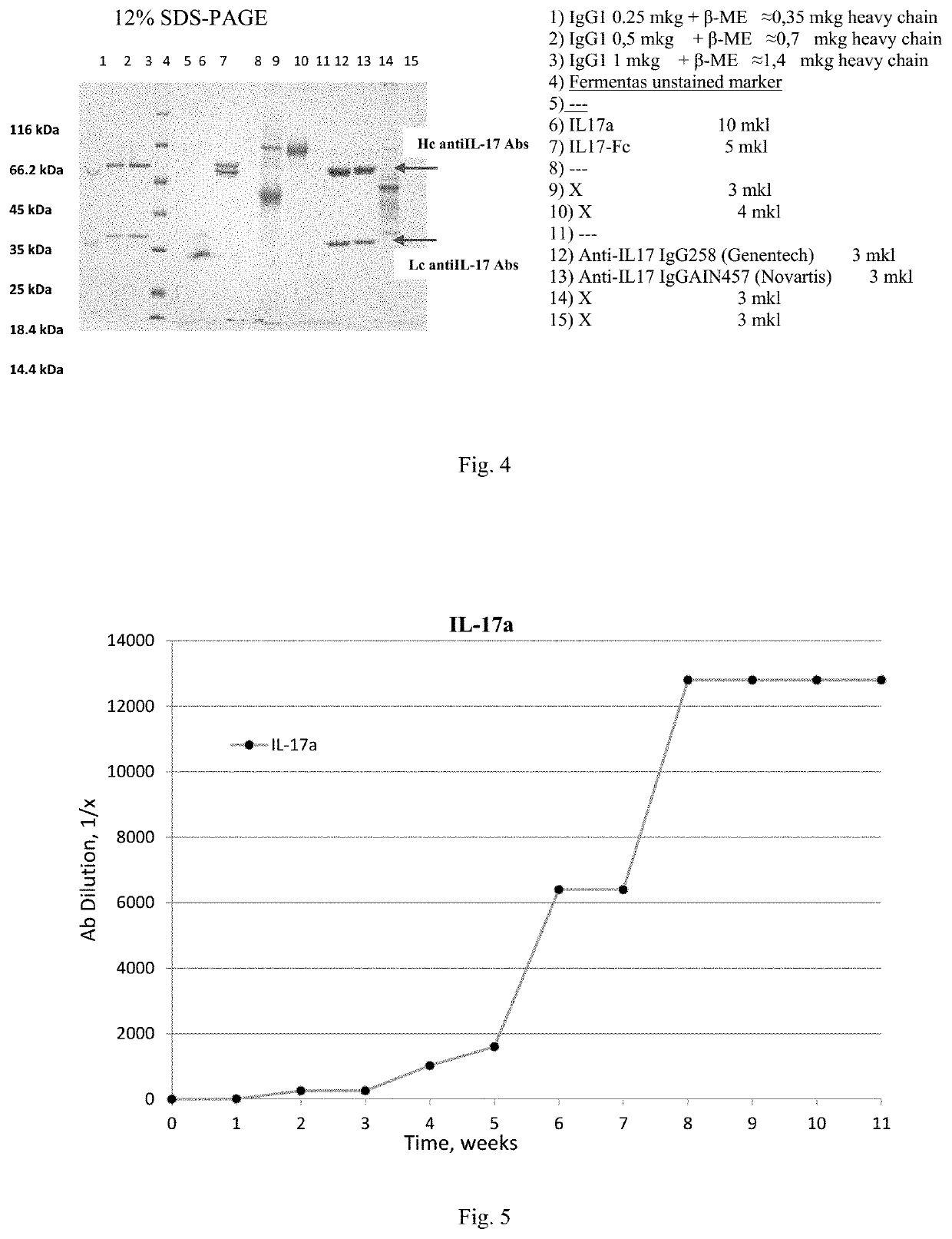 Trispecific antibodies against il-17a, il-17f and other pro-inflammatory molecule