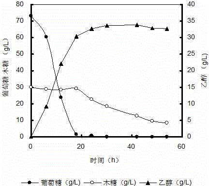 A method for producing ethanol by enzymolysis and fermentation of alkaline pretreated plant fiber raw materials